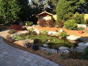 Back yard pond surrounded by lush landscaping with rock, shrubs and walkways